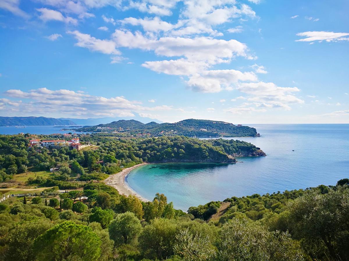 Olive Bay Hilltop *
