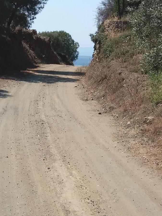 Olive Bay Hilltop